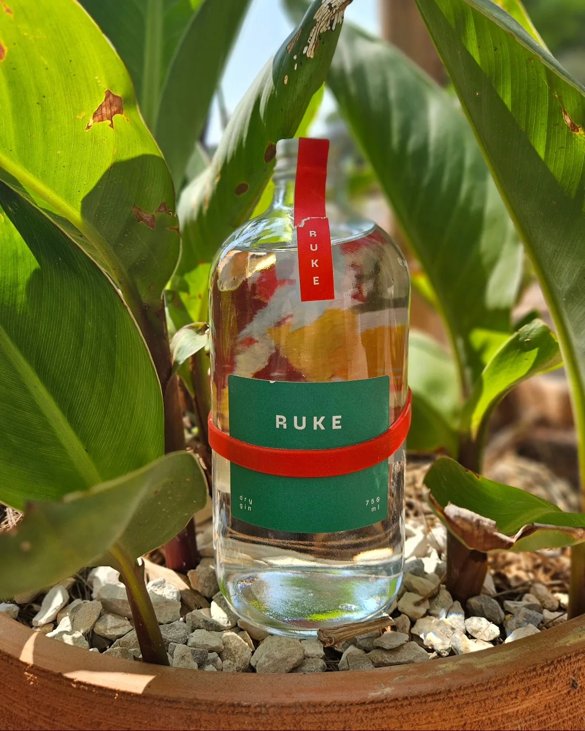 RUKE — domaći dry gin